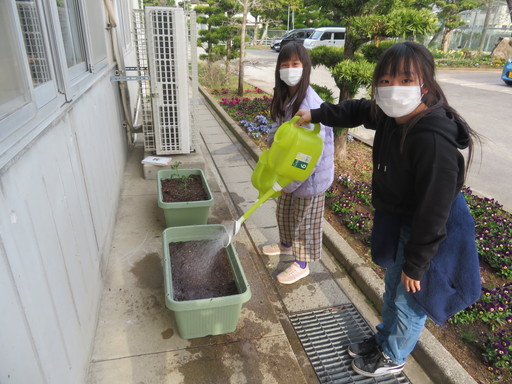 古賀キッズクラブの活動写真