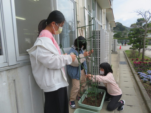古賀キッズクラブの活動写真