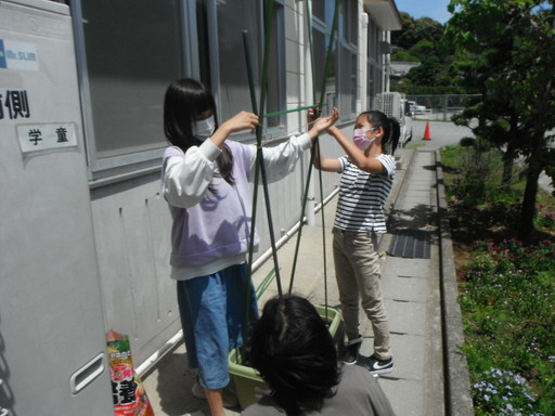 古賀キッズクラブの活動写真