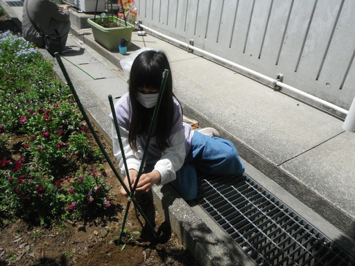 古賀キッズクラブの活動写真
